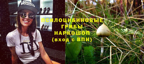 бошки Нея