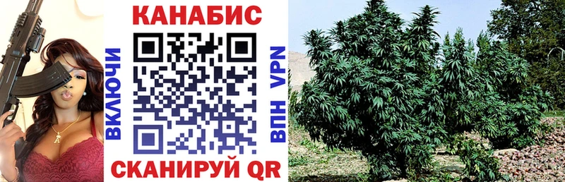 Бошки Шишки VHQ  цена   Ветлуга 